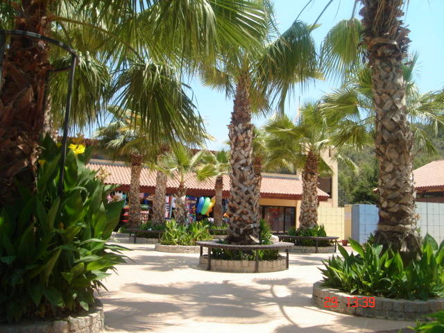 Picture Nokia 156 - 2007 TURCIA KUSADASI