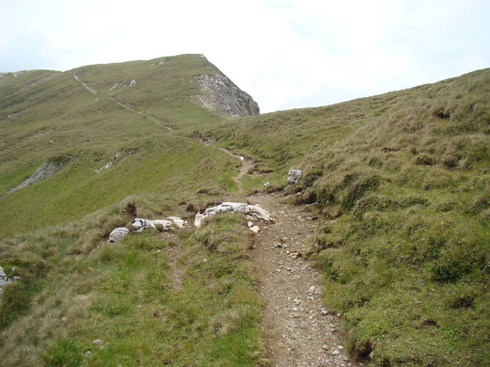 DSC03963 - Concediu 2009