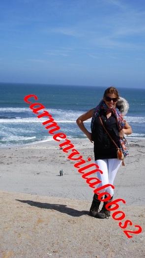 n680497238_1373057_4206