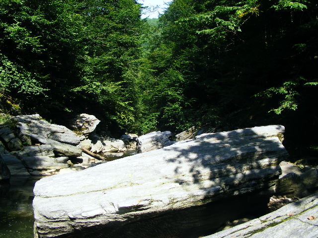 DSCF5253