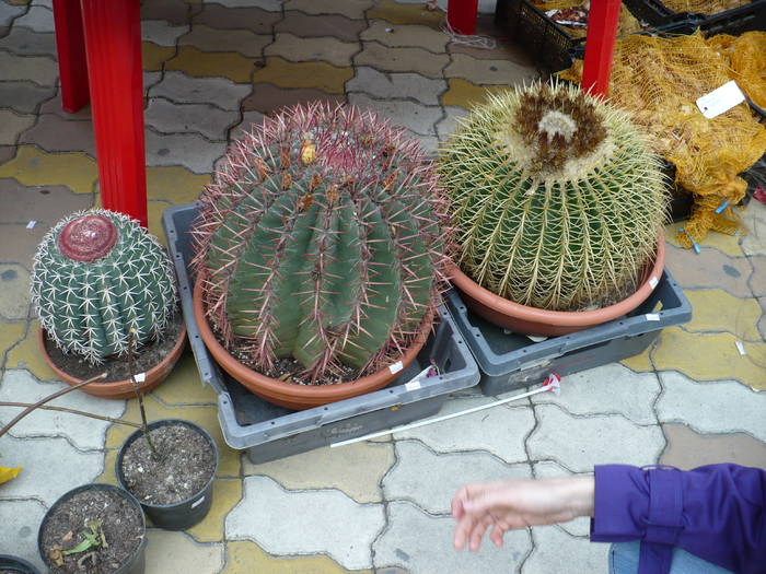P1020487