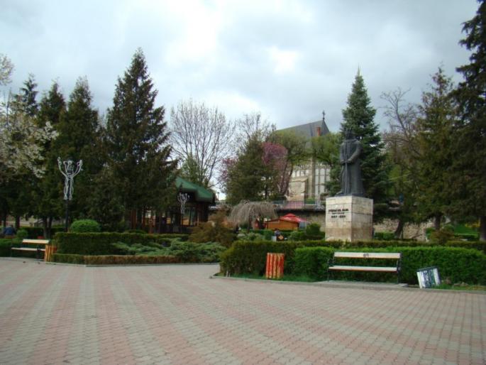 DSC03510