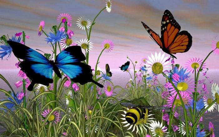 Beautiful-butterflies