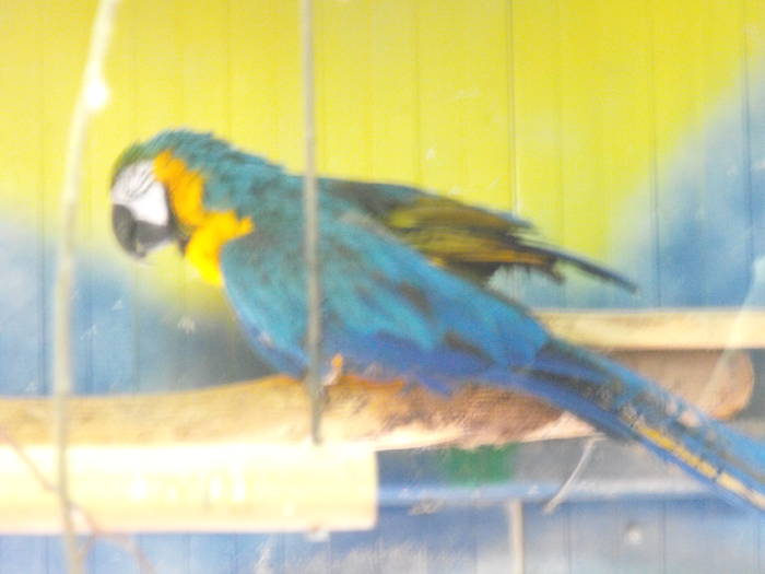 Picture 212
