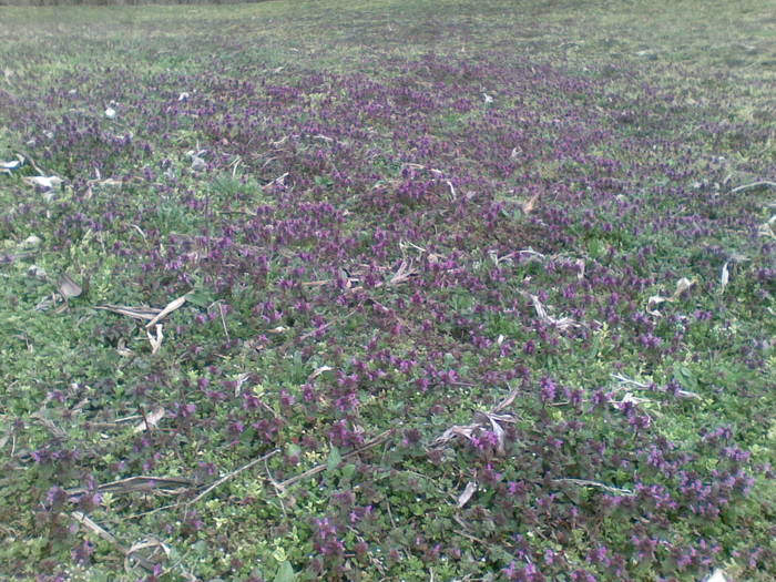 01042009