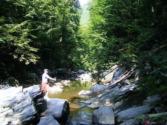 DSCF5261