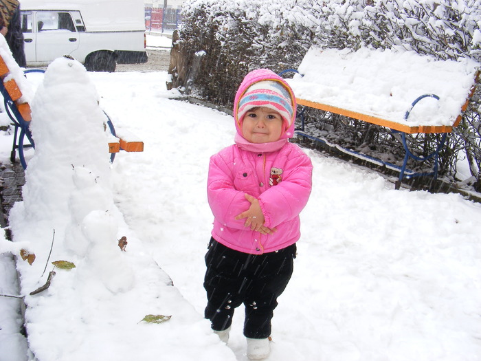 decembrie 2009 - Ecaterina-Nicoleta