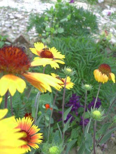 PICT0089