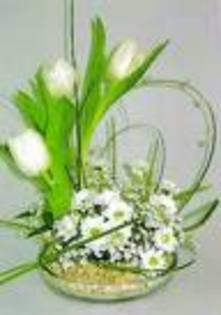 imagesCAQLR29W