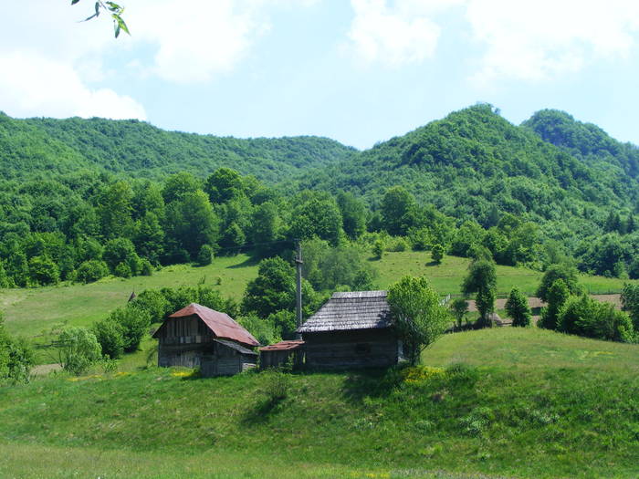 DSCF0990