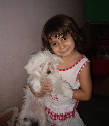 Bichon Maltese; Kiva
