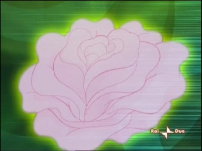 flora15 - animale si flori