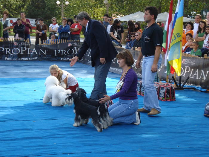 DSC07124 - 2007 EXPOZITIE CANINA