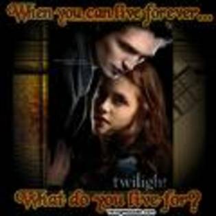 twilight - Twilight 13