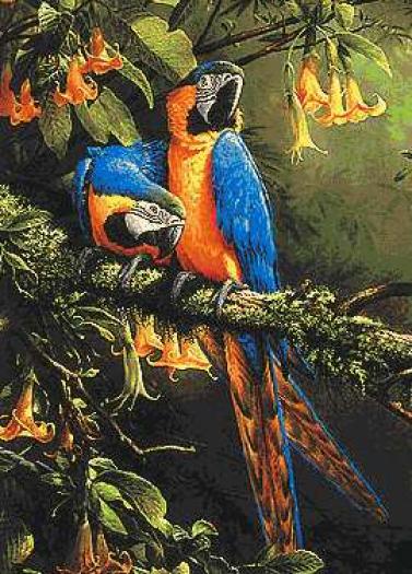 papagali_1_goblen - PAPAGALI