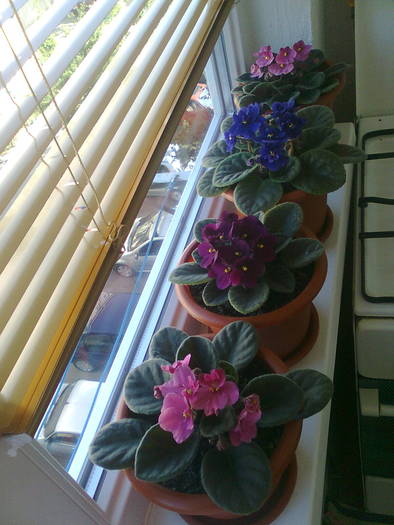 RAIUL DE PE BALCON PARTEA DREAPTA