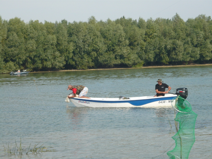 hraneam balauriii - La peste in delta