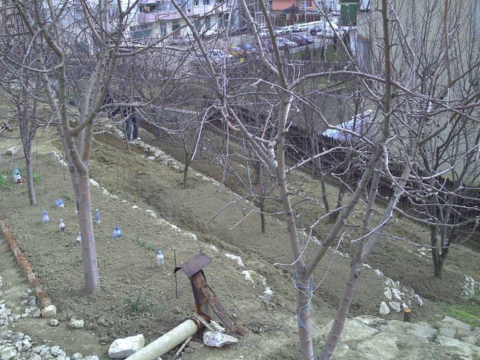 PICT0010 - GRADINA-2009