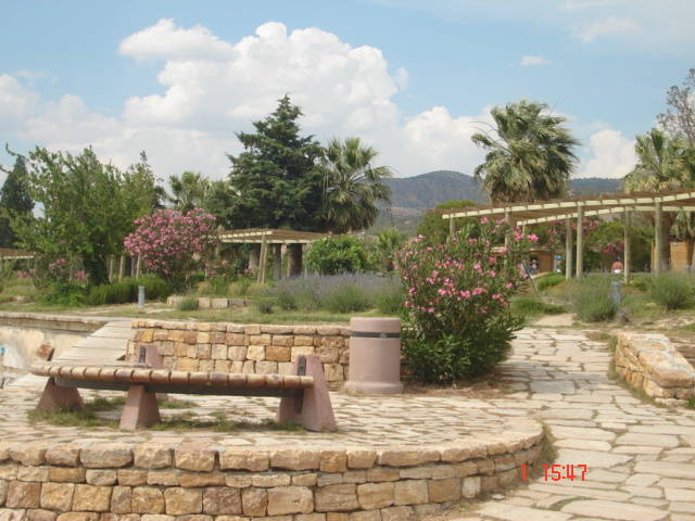 Picture Nokia 288 - 2007 TURCIA KUSADASI