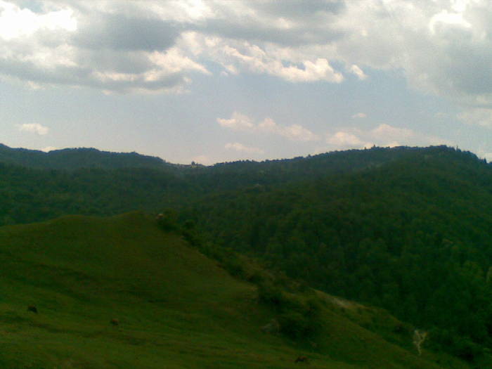 20072008(027) - Valea Ramnicului Sarat