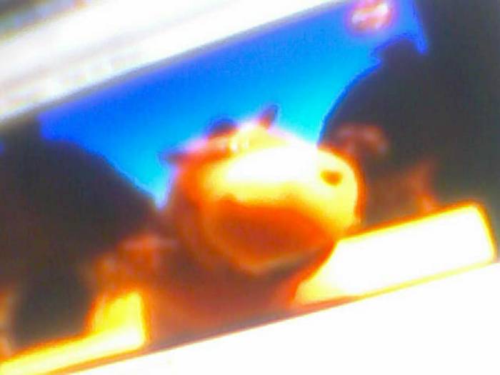 snapshot-688 - Pentru iutu