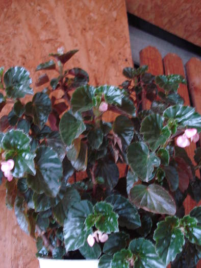 DSC09547