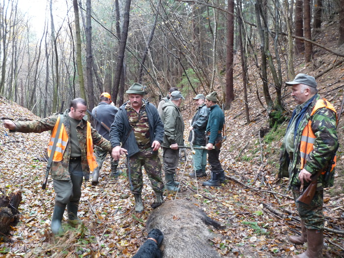 P1210706 - 2009-2010 Stolna Cluj