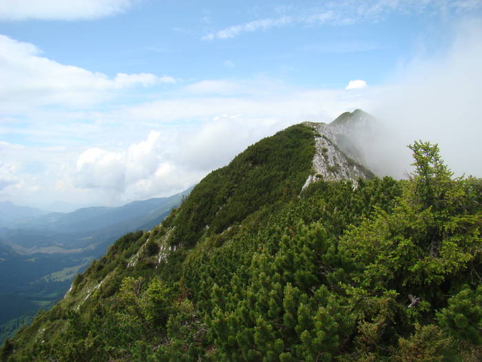 DSC03795 - Concediu 2009