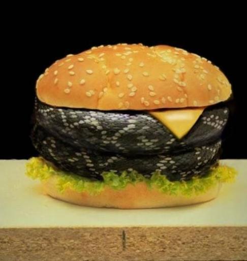 snake-burg - imagini amuzante cu animale