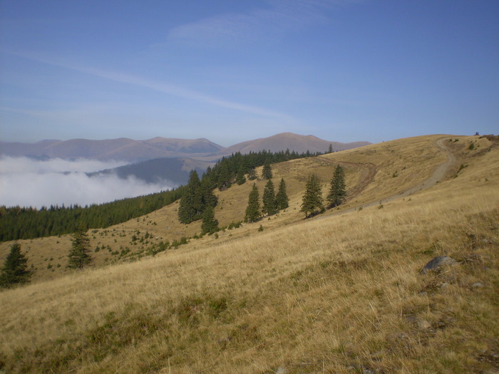 VARFUL URSU 25.10.2009 007