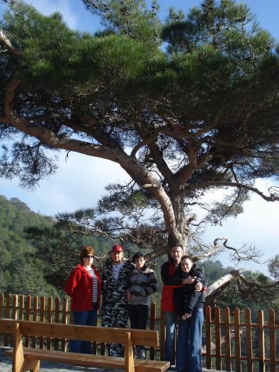 Picture 757; Troodos
