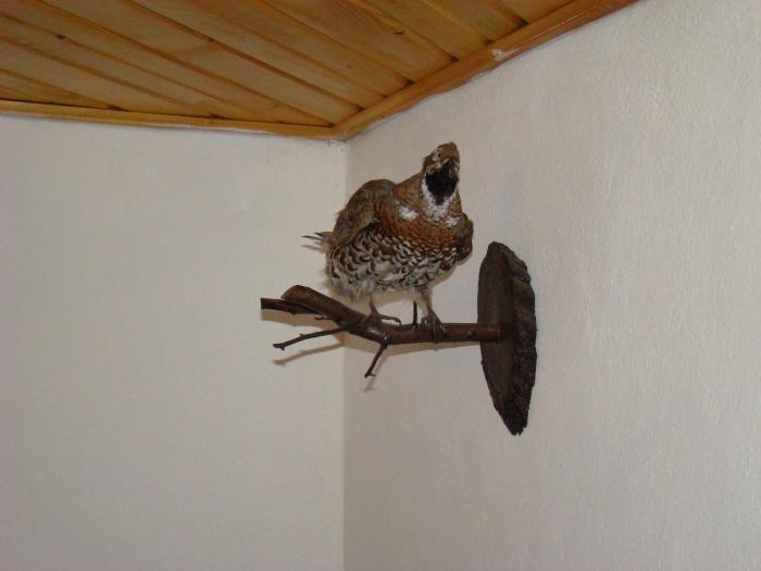 DSC01983 - Concediu 2008