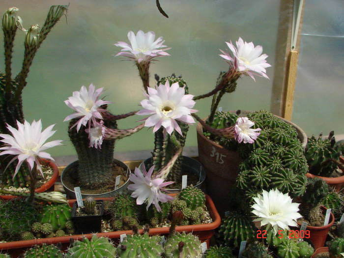DSC05803