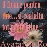 508 - AVATARE