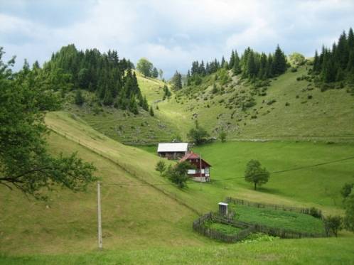 la-munte-1 - peisaje de la munte