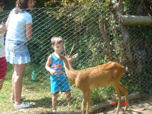Sighisoara Aug.2006 198