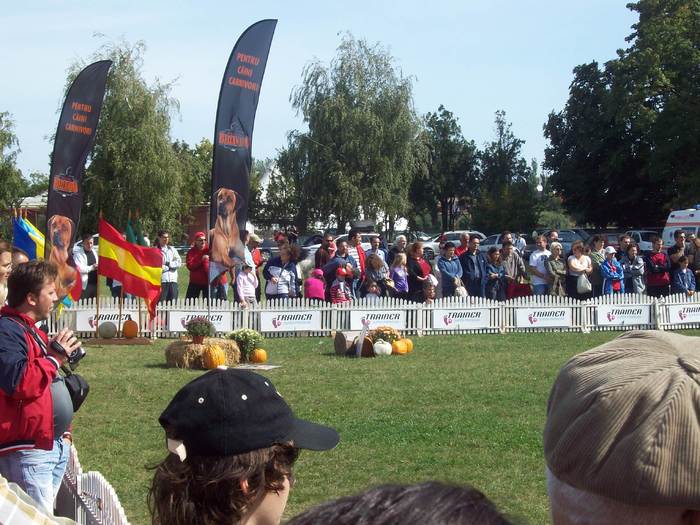 100_8577 - Expo CACIB-Bucuresti 19-20sept2009