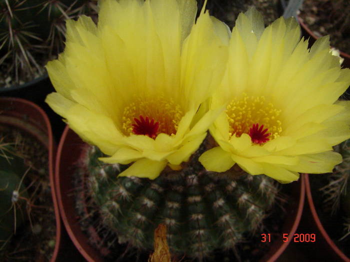 DSC05903