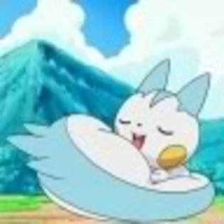 Pachirisu are coada stufoasa - Dawn