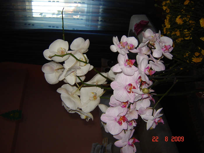 DSC02624