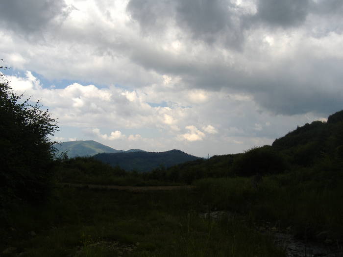 DSCF6111