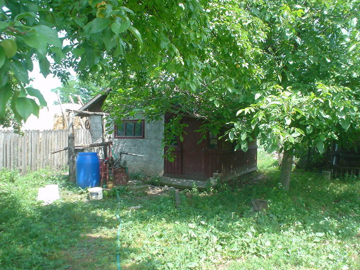 DSC01422 - gradina de la ferma