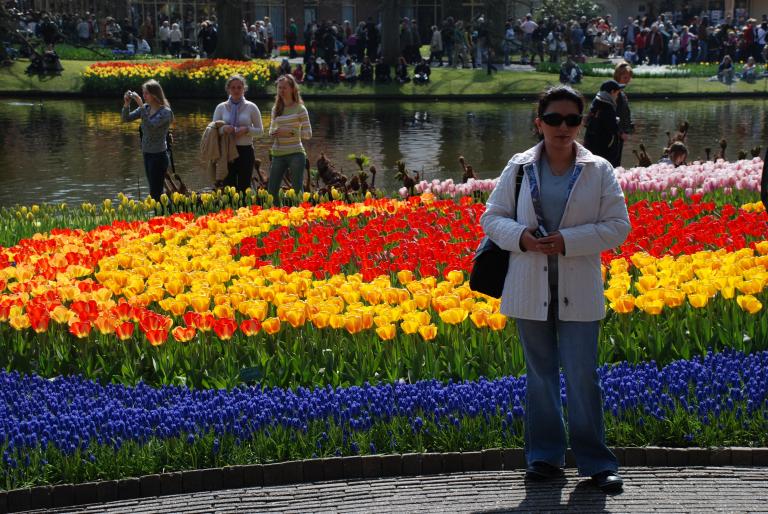 Afbeelding 799 - Keukenhof 2008