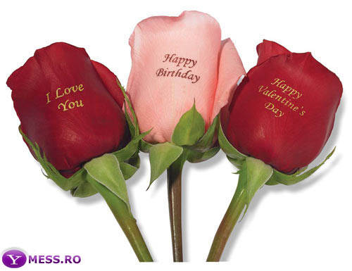 personalized-roses-1%20copy - questii