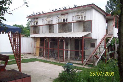 irg3 - MODELE DE CRESCATORII