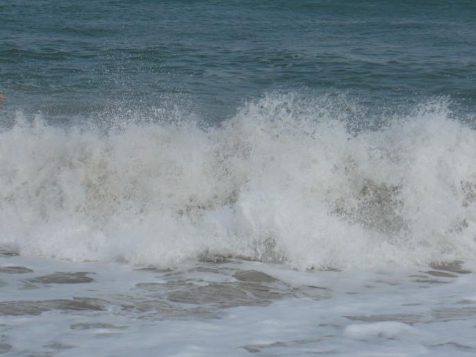 P1040560 - septembrie 2008 Costinesti