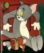 Tom si Jerry