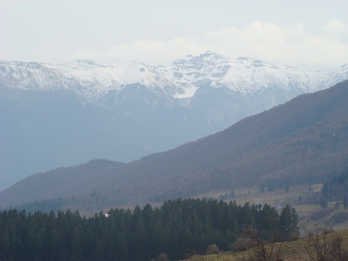 DSC04555 - Valea Crapaturii - Piatra Craiului