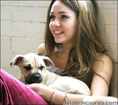 688 - Miley Cyrus sh animalele