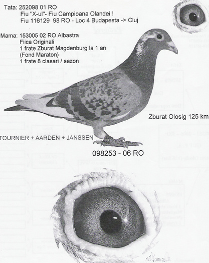 Tournier-Aaarden-Janssen - Pedigree Matca